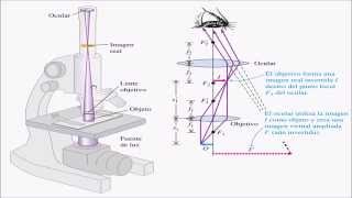 Microscopio y Telescopio [upl. by Cinamod65]