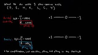 BIOCHEM 14  Amino Acid Ionization 2 and Isoelectric pH [upl. by Mcgannon]